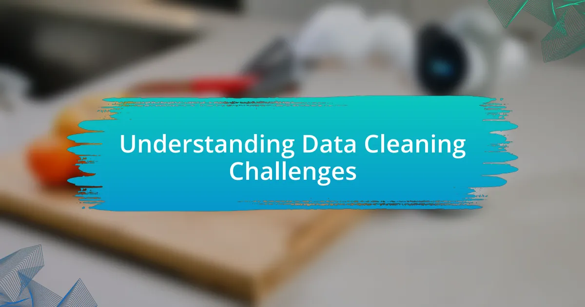 Understanding Data Cleaning Challenges